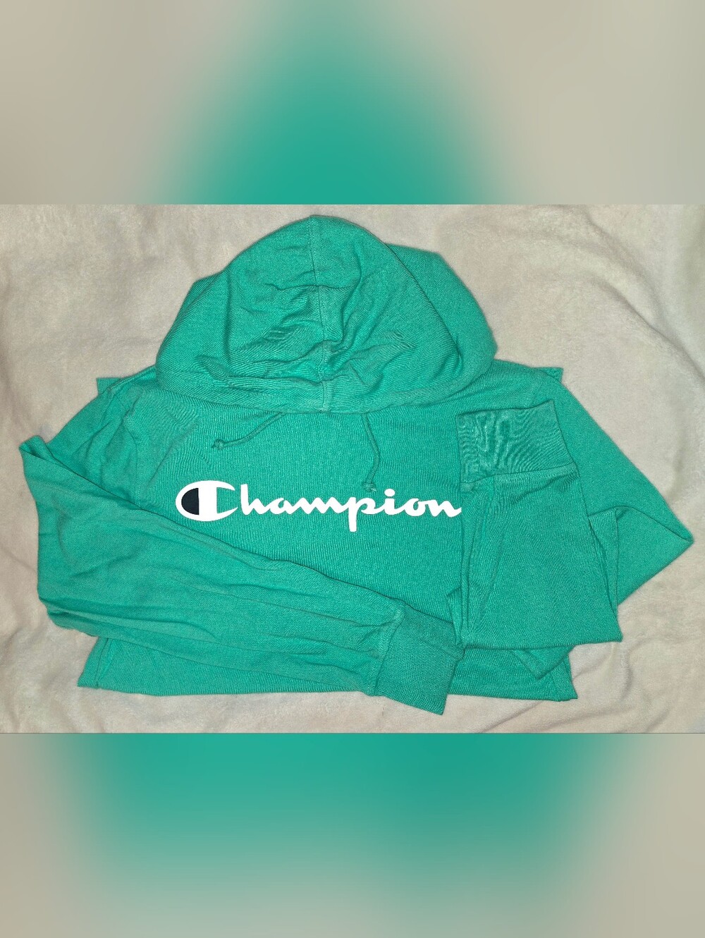 EUC Champion Lightweight Hoodie Medium Green